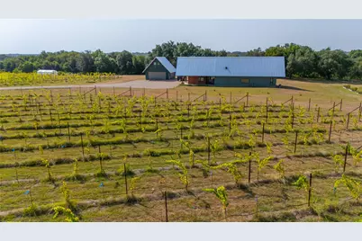 25270 E State Highway 6, Hico, TX 76457 - Photo 4