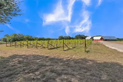 25270 E State Highway 6, Hico, TX 76457 - Photo 2