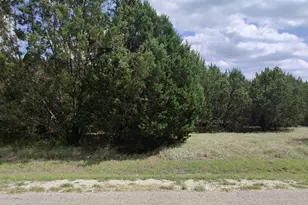 32047 Dove Trail, Whitney, TX 76692 - Photo 1
