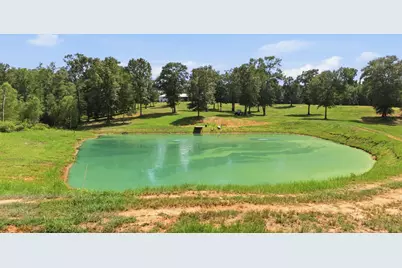 12842 Farm To Market 838, Overton, TX 75684 - Photo 28