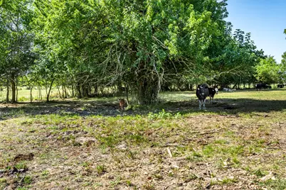 229 County Road 4733, Cumby, TX 75433 - Photo 30