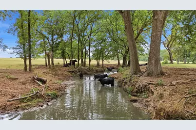544 W Fm 902, Collinsville, TX 76233 - Photo 36