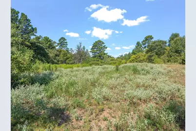 Tbd Cr 4568, Winnsboro, TX 75494 - Photo 4