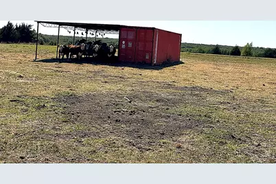 1599 County Road 2925, Dodd City, TX 75438 - Photo 12
