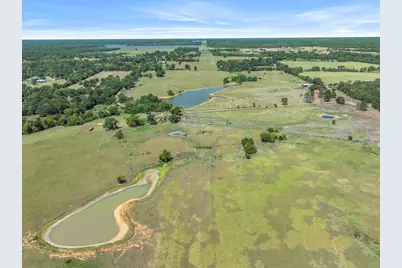10.02 Acres Vz County Road 4503, Ben Wheeler, TX 75754 - Photo 10