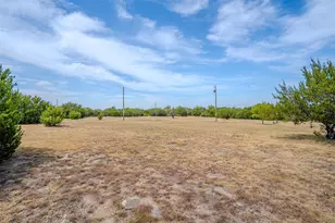 1950 Fm 2823, Carlton, TX 76436 - Photo 20