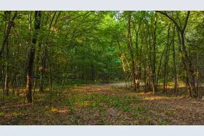 230 County Road 2434, Sulphur Springs, TX 75482 - Photo 30