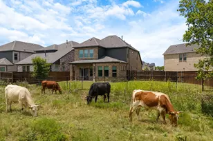 3100 Greenbriar Dr, Celina, TX 75009 - Photo 36