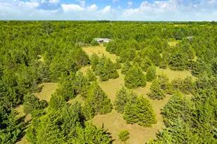 5464 County Rd 12650, Paris, TX 75462 - Photo 20