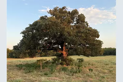 9097 County Road 2472, Royse City, TX 75189 - Photo 8