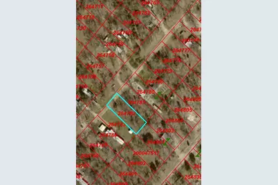 00000 San Jacinto Drive, Log Cabin, TX 75148 - Photo 1