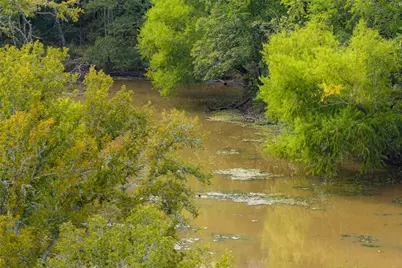 0 Cr 2623, Wills Point, TX 75169 - Photo 6