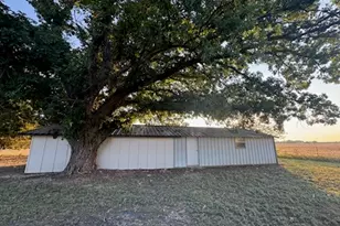 1401 FM 1243, Brandon, TX 76628 - Photo 4