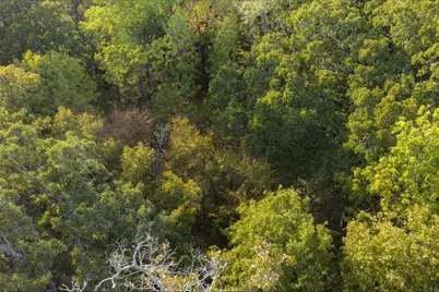 0 Cr 4200, Kerens, TX 75144 - Photo 26