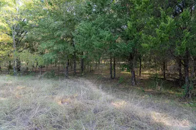 0 Cr 4200, Kerens, TX 75144 - Photo 36
