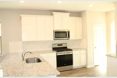 2104 Penaflor Drive, Anna, TX 75409 - Photo 4