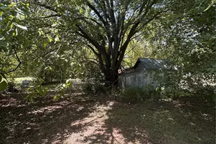 955 Lcr 463, Mexia, TX 76667 - Photo 4