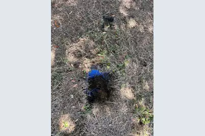 955 Lcr 463, Mexia, TX 76667 - Photo 8