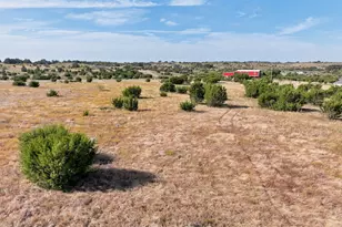 491 Hollow Dr, Lipan, TX 76462 - Photo 1