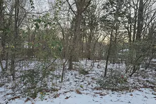 Lot 753 Doe Run Rd, Gun Barrel City, TX 75156 - Photo 1