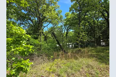 Lot 700 Shady Grove Road, Gun Barrel City, TX 75156 - Photo 8