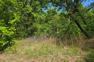Lot 700 Shady Grove Rd, Gun Barrel City, TX 75156 - Photo 1