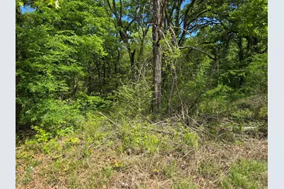 Lot 701 Shady Grove Road, Gun Barrel City, TX 75156 - Photo 2