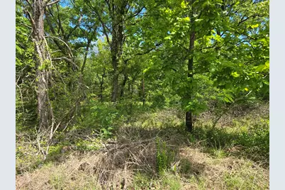 Lot 701 Shady Grove Road, Gun Barrel City, TX 75156 - Photo 4