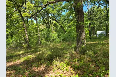 Lot 701 Shady Grove Road, Gun Barrel City, TX 75156 - Photo 12
