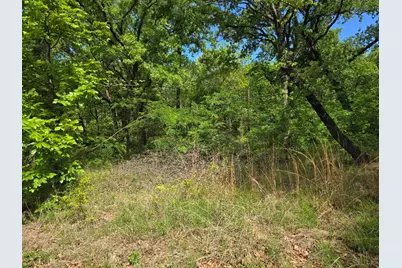 Lot 701 Shady Grove Road, Gun Barrel City, TX 75156 - Photo 8
