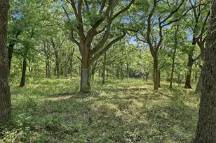 274 N Washburn Rd, Bells, TX 75414 - Photo 28