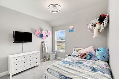 910 Westminster Drive, Midlothian, TX 76065 - Photo 18