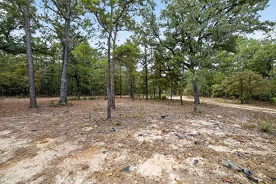 4079 S Farm To Market 2869 Road, Hawkins, TX 75765 - Photo 38