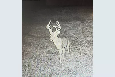 Lot 36 Cr 1200, Athens, TX 75751 - Photo 10