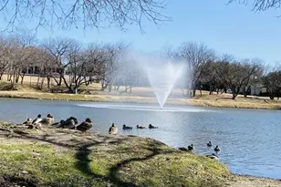 9917 Eddleman Ct, Fort Worth, TX 76244 - Photo 28