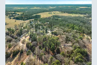 3.77 Acres County Road 3520, Brownsboro, TX 75756 - Photo 6