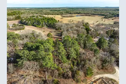 3.77 Acres County Road 3520, Brownsboro, TX 75756 - Photo 10