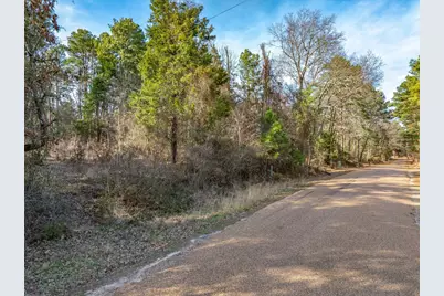 3.77 Acres County Road 3520, Brownsboro, TX 75756 - Photo 2