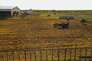 201 FM1750, Abilene, TX 79602 - Photo 18