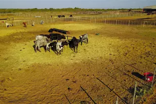 201 FM1750, Abilene, TX 79602 - Photo 32