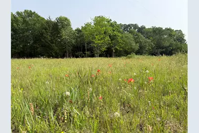 Tbd County Road 1130, Cumby, TX 75453 - Photo 1