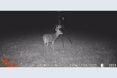 Tbd County Road 1130, Cumby, TX 75453 - Photo 10