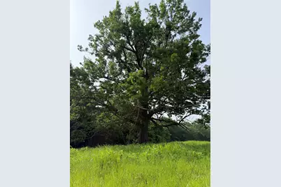 Tbd County Road 1130, Cumby, TX 75453 - Photo 8