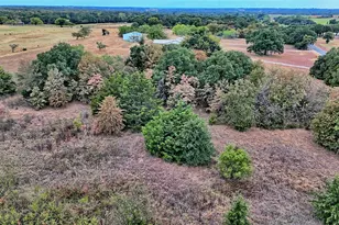 437 Jakes Rd, Bowie, TX 76230 - Photo 36