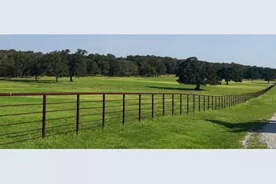 Tbd Springs Road, Valley View, TX 76272 - Photo 1