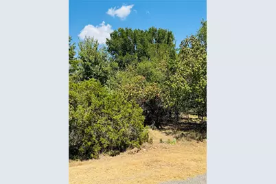 14057 Sandy Oaks Drive, Whitney, TX 76692 - Photo 4