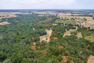 1842 Co Rd 1105, Ravenna, TX 75476 - Photo 28
