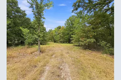 9696 Fm 515, Alba, TX 75410 - Photo 18