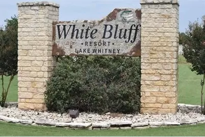 12141 Trailwood Drive, Whitney, TX 76692 - Photo 6