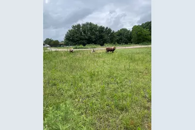 Tbd Private Road 2545, Quinlan, TX 75474 - Photo 2